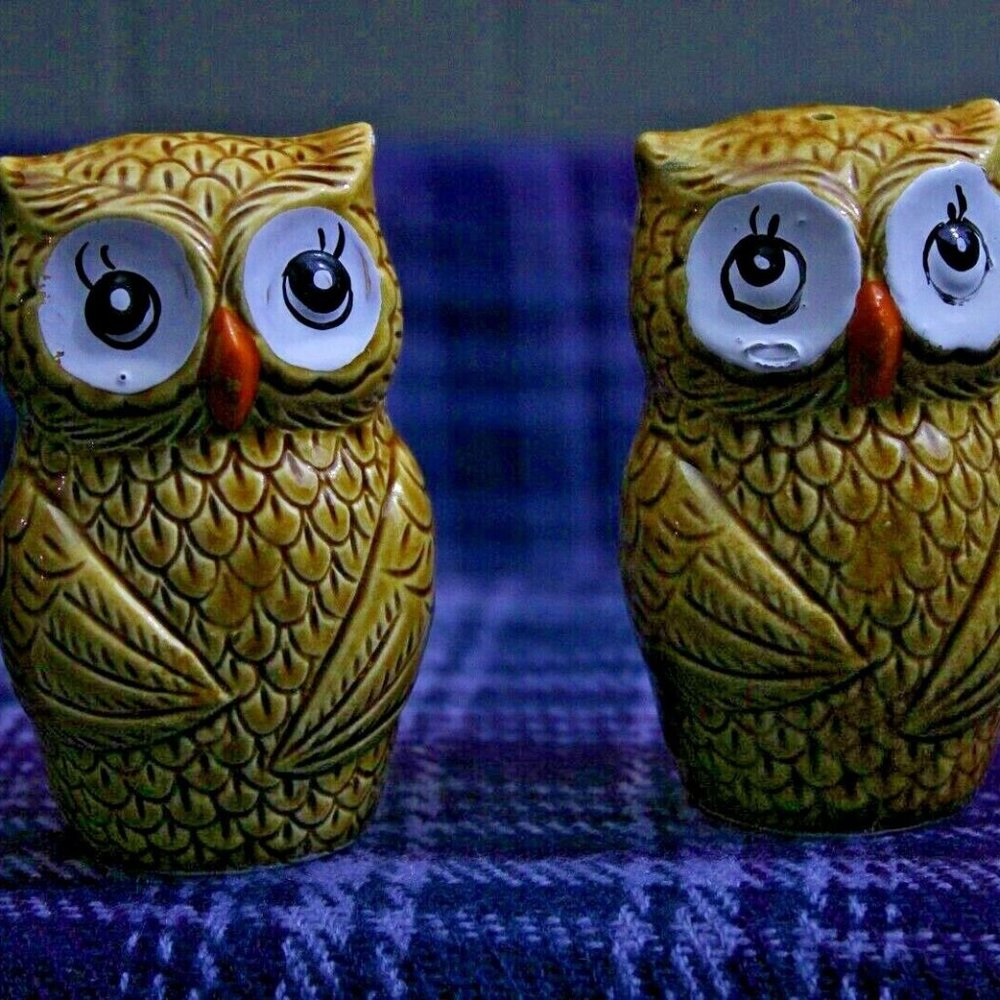 Japan Ceramic Owl Salt and Pepper Shakers